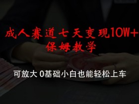 成人赛道七天变现10W+保姆教学,可放大,0基础小白也能轻松上车【揭秘】