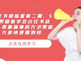 小红书训练营第二期,5天帮助你学会小红书店铺,用最简单的方式帮助大家快速赚到钱