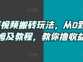 搜狐视频搬砖玩法，从0到1保姆及教程，教你撸收益