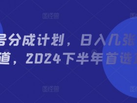 视频号分成计划,日入几张,热点赛道,2024下半年首选项目