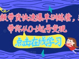2024视频带货快速爆单训练营，30天带你从0-1起号变现