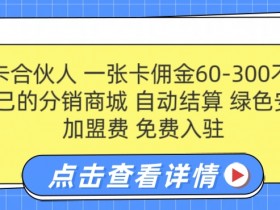 电话卡合伙人,一张卡佣金60-300不等,0加盟费, 搭建属于自己的分销商城,自动结算