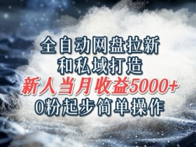 全自动网盘拉新和私域打造,0粉起步简单操作,新人入门当月收益5000以上