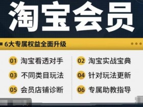 淘宝会员【淘宝所有课程，全面分析对手】，初级到高手全系实战宝典