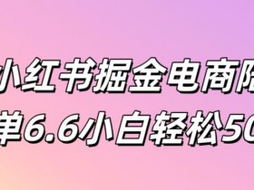 独家小红书掘金电商陪跑课一单6.6小白轻松5张