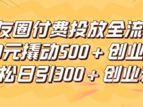 朋友圈高效付费投放全流程,100元撬动500+创业粉,日引流300加精准创业粉【揭秘】