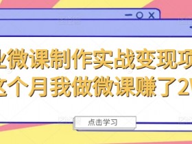 商业微课制作实战变现项目,这个月我做微课赚了2W+
