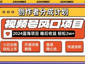 【老人言赛道领域】视频号最新爆火赛道,0粉新号条条过原创热门,小白轻松易上手