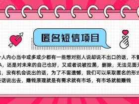 冷门小众赚钱项目,匿名短信,玩转信息差,月入五位数【揭秘】