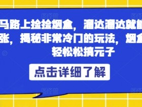 大马路上捡捡烟盒,溜达溜达就能日赚三五张,揭秘非常冷门的玩法,烟盒回收轻轻松松搞元子