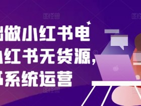 零基础做小红书电商,小红书无货源,小红书系统运营