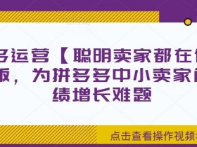 拼多多运营【聪明卖家都在做】无水印版,为拼多多中小卖家解决业绩增长难题