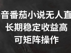 抖音番茄小说无人直播,长期稳定收益高,可矩阵操作【揭秘】