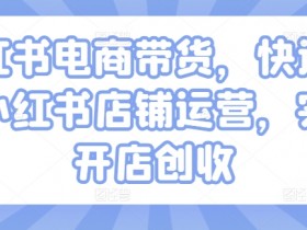 小红书电商带货,快速掌握小红书店铺运营,实现开店创收