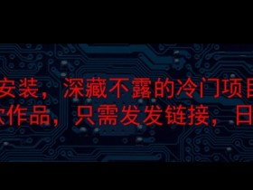 steam代安装，深藏不漏的冷门项目，教你做出爆款作品，只需发发链接，日入300+