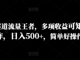 历史赛道流量王者,多项收益可矩阵操作,日入500+,简单好操作