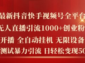 最新抖音快手视频号全平台无人直播引流1000+精准创业粉,日轻松变现5k+【揭秘】