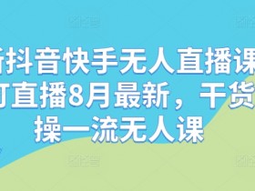 最新抖音快手无人直播课，钉钉直播8月最新，干货实操一流无人课