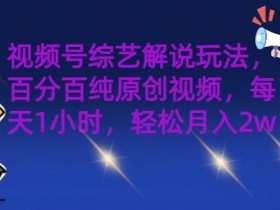 视频号综艺解说玩法,百分百纯原创视频,每天1小时,轻松月入2w