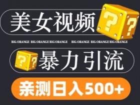 搬运tk美女视频全网分发,日引s粉300+,轻松变现,不限流量不封号【揭秘】