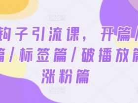2024钩子引流课,开篇/定位篇/标签篇/破播放篇/涨粉篇
