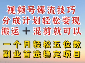 视频号分成最暴力赛道,几分钟出一条原创,最强搬运+混剪新方法,谁做谁爆【揭秘】