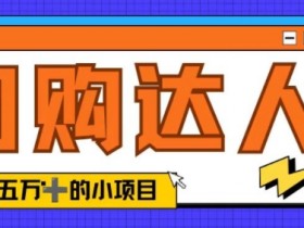 单日销售额50000+的小项目——抖音团购达人