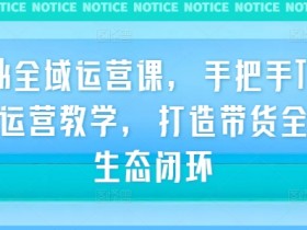 TikTok全域运营课,手把手TikTok实战运营教学,打造带货全链路生态闭环