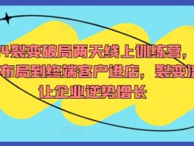 2024裂变破局两天线上训练营,从品牌布局到终端客户进店,裂变流量让企业逆势增长