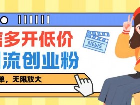 咸鱼卖低价微信多开加引流创业粉玩法,操作简单,无限放大
