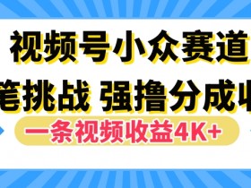 视频号新赛道之文笔挑战,强撸分成收益,一条视频赚了4K+