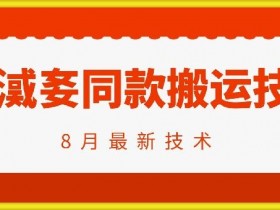 抖音96万粉丝账号【嫠㵄㚣】同款搬运技术