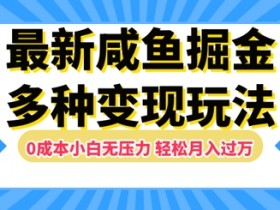 最新咸鱼掘金玩法，0成本小白无压力，多种变现方式，轻松月入过W