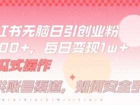 小红书无脑每日引流创业粉500+,小白每天只花半小时,躺赚长尾收益【揭秘】