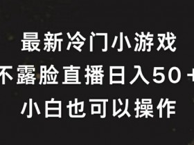 最新冷门游戏不露脸直播，轻松日入50+，小白也可操作
