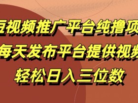短视频推广平台纯撸项目,每天发布平台提供视频,轻松日入三位数