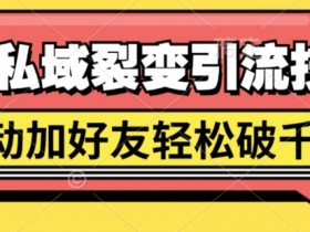 最强私域裂变引流,日引上千粉,轻松日赚几百张(附微信防封技术)