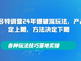 拼多多特训营24年爆破流玩法,产品决定上限,方法决定下限,各种玩法技巧落地实操