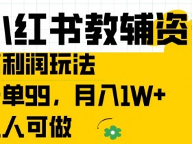 小红书教辅资料高利润玩法，一单99.月入1W+，人人可做【揭秘】