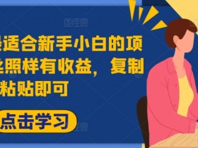 2024年最适合新手小白的项目,0粉丝照样有收益,复制粘贴即可