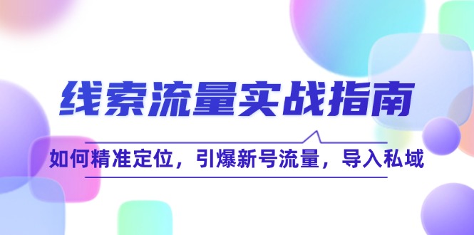 (12382期)线 索 流 量-实战指南:如何精准定位,引爆新号流量,导入私域