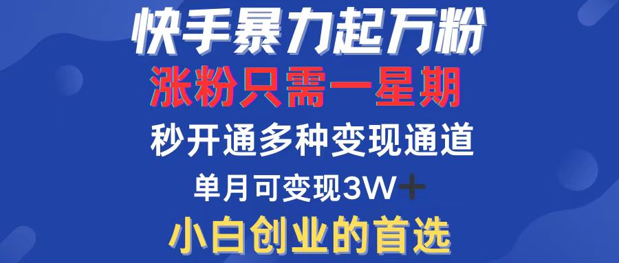 (12651期)快手暴力起万粉,涨粉只需一星期,多种变现模式,直接秒开万合,小白创…