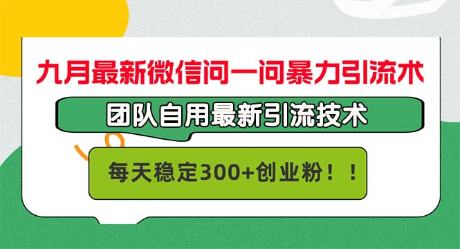 (12735期)九月最新微信问一问暴力引流术,团队自用引流术,每天稳定300+创…