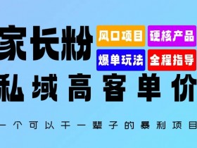 家长粉:私域高客单价,一个可以干一辈子的暴利项目,初中毕业就能完全上手