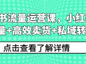 小红书流量运营课,小红书搞流量+高效卖货+私域转化