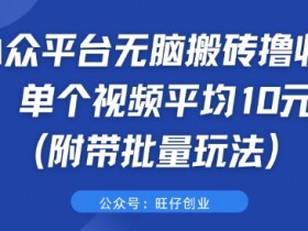 小众平台无脑搬砖撸收益 单个视频平均10元 (附带批量玩法)