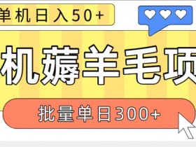 苹果手机零撸薅羊毛项目 单机日收益50+【视频教程】