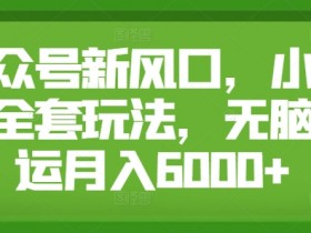 公众号新风口,小绿书全套玩法,无脑搬运月入6000+