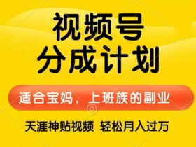 视频号分成计划，天涯贴视频，赚收益，轻松月入过万，操作简单，适合宝妈，上班族