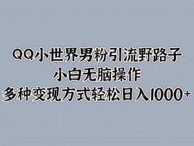 QQ小世界男粉引流野路子,小白无脑操作,多种变现方式